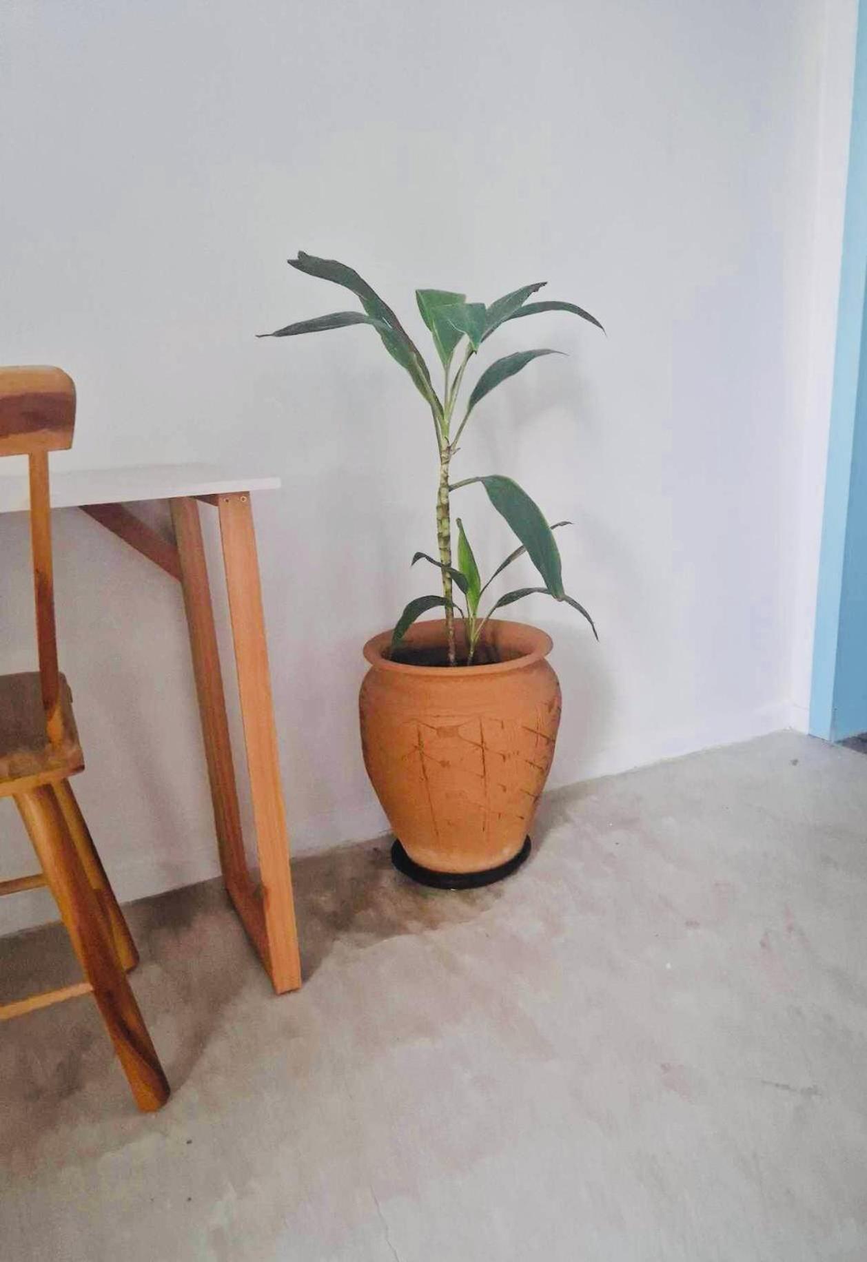 Villa Parazinho Paracuru Kültér fotó
